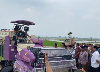 Kudus Punya Undaan untuk Jadi Lumbung Pangan Nasional, Ini Alasannya