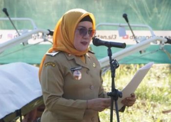 Hama Tikus Rusak Puluhan Hektare Lahan Pertanian, Pemkot Salatiga Jalankan Gerdal