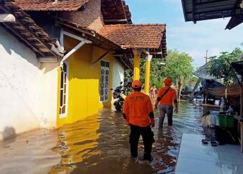 Banjir Rob Akibat Air Pasang Genangi 5 Desa di Tayu Pati