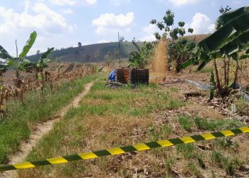 Sumur Tua di Ngraho Blora Semburkan Minyak Lagi, Kini Lebih Banyak