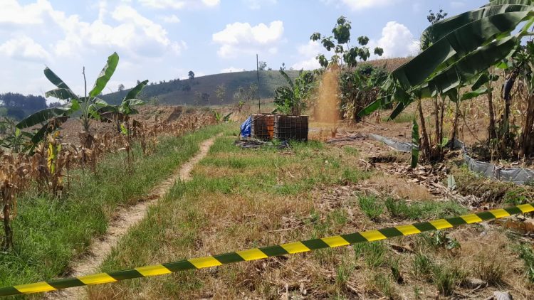 Sumur Tua di Ngraho Blora Semburkan Minyak Lagi, Kini Lebih Banyak