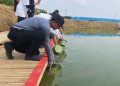 35.600 Hektar Lahan Lapas di Kendal Dijadikan Kolam Ikan 10 35.600 Hektar Lahan Lapas di Kendal Dijadikan Kolam Ikan