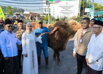 Ini Alasan Bupati Kendal Salurkan Sapi Kurban Presiden ke Masjid Agung Kaliwungu 7 Ini Alasan Bupati Kendal Salurkan Sapi Kurban Presiden ke Masjid Agung Kaliwungu