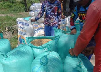 Petani Rembang Keluhkan Demo ODOL Hambat Aktivitas Panen 