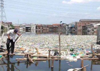 Bekas Tambak Jadi Pulau Sampah, Warga Semarang Keluhkan Bau Tak Sedap