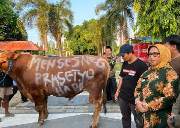 Mensesneg Prasetyo Hadi Kurban Sapi di Masjid Agung Baitunnur Blora