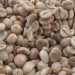 Harga Kopi Turun, Petani di Pekalongan Minta Pemerintah Jaga Stabilitas Pasar 8 Harga Kopi Turun, Petani di Pekalongan Minta Pemerintah Jaga Stabilitas Pasar