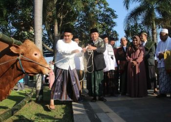 Bupati Blora Kurban Satu Sapi di Masjid Agung Baitunnur  6 Bupati Blora Kurban Satu Sapi di Masjid Agung Baitunnur