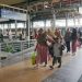 Terjadi Lonjakan Penumpang di Stasiun Cepu Blora Jelang Libur Panjang Idul Adha 8 Terjadi Lonjakan Penumpang di Stasiun Cepu Blora Jelang Libur Panjang Idul Adha