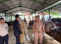 Pasokan Kerbau Kurban di Kudus Masih Kurang, Sapi hingga Kambing Surplus 16 Pasokan Kerbau Kurban di Kudus Masih Kurang, Sapi hingga Kambing Surplus