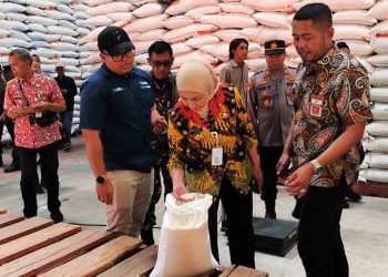 68 Ribu Warga Kendal Bakal dapat Bantuan Beras 20 Kg dari Bapanas