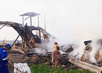 15.000 Ekor Ayam Hangus dalam Insiden Kebakaran di Pilang Blora