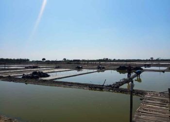 Produksi Garam di Rembang Belum Dimulai, Harga Melonjak Naik