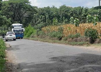 Jalan Cepu-Doplang Blora Segera Diperbaiki, Anggarannya Rp 22 Miliar