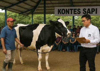 125 Hewan Akan Ramaikan HUT Salatiga di Kontes Ternak dan Peliharaan Besok