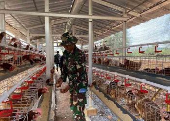 Ketahanan Pangan Jadi Role Model TMMD di Kandangmas Kudus