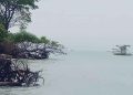 Terbelah Jadi 3, Pulau Gede di Rembang Terancam Hilang Akibat Abrasi 16 Terbelah Jadi 3, Pulau Gede di Rembang Terancam Hilang Akibat Abrasi