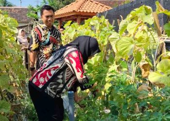 Ditinjau DLH Jateng, Siswa-Guru SDN Ngotet Rembang Ajak Tim Panen Hasil Kebun