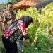 Ditinjau DLH Jateng, Siswa-Guru SDN Ngotet Rembang Ajak Tim Panen Hasil Kebun 8 Ditinjau DLH Jateng, Siswa-Guru SDN Ngotet Rembang Ajak Tim Panen Hasil Kebun