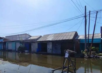 Ikhtiar Mencari Mencari Solusi Komprehensif Rob Sayung