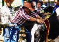 Salatiga Luncurkan QR Peduli Tani, Permudah Aduan Petani dan Peternak