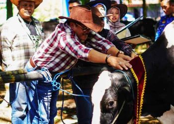 Salatiga Luncurkan QR Peduli Tani, Permudah Aduan Petani dan Peternak
