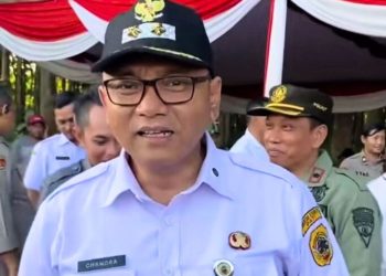 Wabup Chandra Pimpin Penanaman Jagung Serentak di Regaloh Pati
