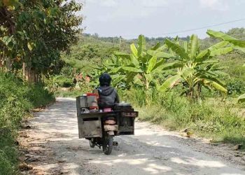 Blora Ajukan Perbaikan Jalan Senilai Rp 113 Miliar Lewat Program IJD 2025