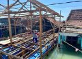Bupati Demak Bakal Menambah Bantuan Rumah Apung Bagi Warga Terdampak Rob 19 Bupati Demak Bakal Menambah Bantuan Rumah Apung Bagi Warga Terdampak Rob
