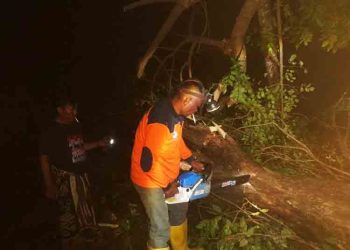 Demak Diterjang Angin Puting Beliung, Warga Diminta Waspada