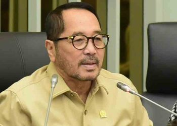 Firman Soebagyo Minta Warga Bijak Soal Tren Pengibaran Bendera One Piece