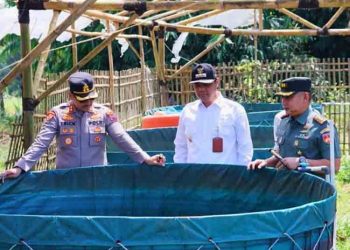 Bupati Jepara Apresiasi Konsep Pertanian Terpadu di Desa Suwawal