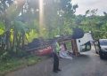 Truk Bermuatan Semen Terguling di Batealit Jepara Akibat Gagal Menanjak 19 Truk Bermuatan Semen Terguling di Batealit Jepara Akibat Gagal Menanjak
