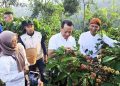 Tradisi Wiwit Kembali Digelar, Bupati Kudus Petik Kopi Langsung di Kebun 19 Tradisi Wiwit Kembali Digelar, Bupati Kudus Petik Kopi Langsung di Kebun