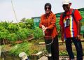 Wawalkot Pekalongan Apresiasi Warga Klego Ubah Lahan Tak Produktif Jadi Kolam Ikan Patin 13 Wawalkot Pekalongan Apresiasi Warga Klego Ubah Lahan Tak Produktif Jadi Kolam Ikan Patin