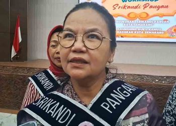 Penemuan Sesar Aktif di Semarang, Wali Kota Agustina: Tanda Bahaya