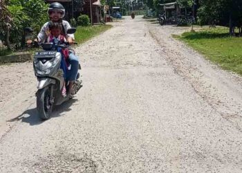 Tak Kunjung Diperbaiki, Warga Minta Jalan Rusak di Pelem Blora Diprioritaskan 9 Tak Kunjung Diperbaiki, Warga Minta Jalan Rusak di Pelem Blora Diprioritaskan