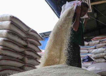 Blora Catat Surplus Beras Hingga 300 Ribu Ton, Masalah Harga Disorot