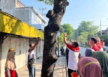 27,55 Kg Paku Dicabut dari Pohon di Jalan Diponegoro dan R. Suprapto Grobogan