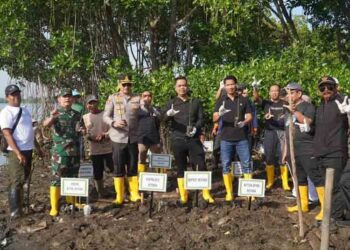Terancam Abrasi, Pemkab Jepara Tanam 1000 Mangrove di Kedungmalang