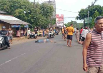 Tabrakan Vario dan Scoopy di Sukosono Jepara, Satu Korban Meninggal