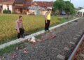 Warga Kendal Tewas Tertemper Kereta Api, Hendak Menyebrang dengan Sepeda 18 Warga Kendal Tewas Tertemper Kereta Api, Hendak Menyebrang dengan Sepeda