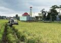 Pemkab Kudus Larang Petani Pakai Jebakan Listrik Tikus Usai 2 Warga Tewas Tersengat 15 Pemkab Kudus Larang Petani Pakai Jebakan Listrik Tikus Usai 2 Warga Tewas Tersengat