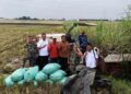 Penyuluh Pertanian di Kudus Akan Beralih Status Jadi ASN Kementan di 2026 19 Penyuluh Pertanian di Kudus Akan Beralih Status Jadi ASN Kementan di 2026