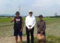 Petani Kudus Bisa Panen 3 Kali Setahun Sejak Ada Bendungan Logung 18 Petani Kudus Bisa Panen 3 Kali Setahun Sejak Ada Bendungan Logung