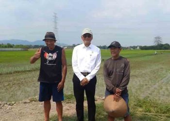 Petani Kudus Bisa Panen 3 Kali Setahun Sejak Ada Bendungan Logung