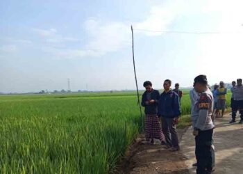 Kronologi Mahasiswa Kudus Tewas Tersengat Jebakan Tikus di Area Sawah
