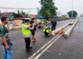 Lagi! Pemotor Tewas Usai Tabrak Median Proyek Perbaikan Jalan Pati-Kudus 15 Lagi! Pemotor Tewas Usai Tabrak Median Proyek Perbaikan Jalan Pati-Kudus