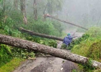 Hujan Disertai Angin Melanda Kasimpar Pekalongan, Sejumlah Bangunan Rusak 4 Hujan Disertai Angin Melanda Kasimpar Pekalongan, Sejumlah Bangunan Rusak