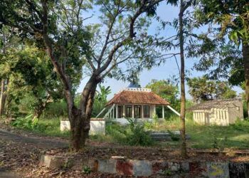 Terbengkalai, Bumi Perkemahan Karangsari Rembang Akan Dibersihkan Bulan Ini